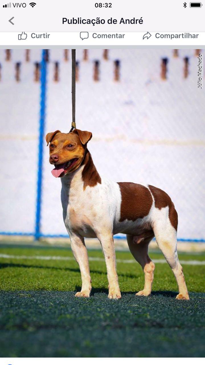 ralf-186365-gb-65-4c34c